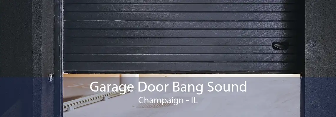 Garage Door Bang Sound Champaign - IL