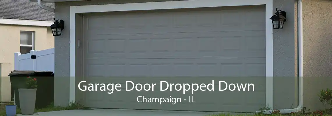 Garage Door Dropped Down Champaign - IL