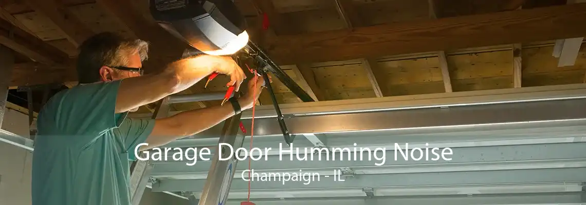 Garage Door Humming Noise Champaign - IL