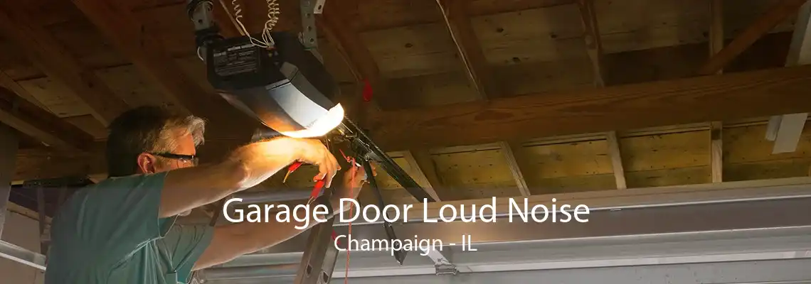 Garage Door Loud Noise Champaign - IL