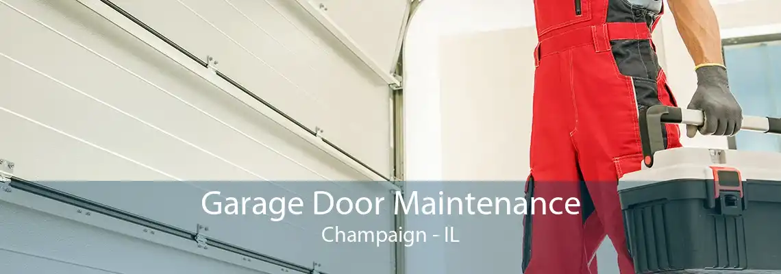 Garage Door Maintenance Champaign - IL