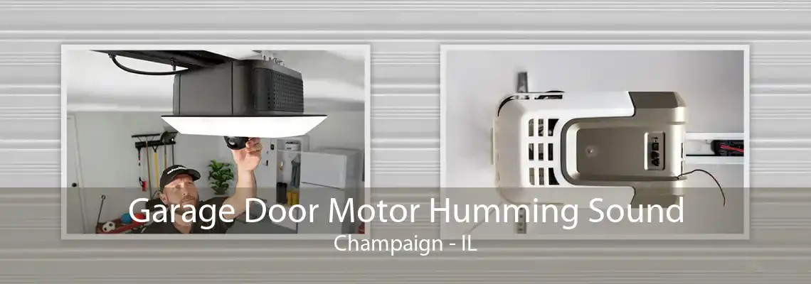 Garage Door Motor Humming Sound Champaign - IL