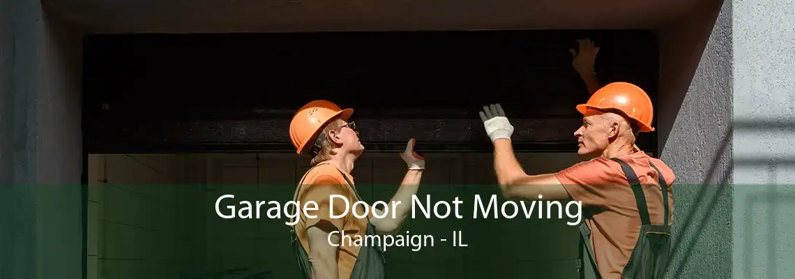 Garage Door Not Moving Champaign - IL