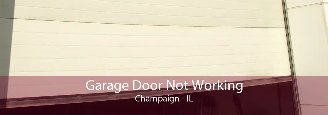 Garage Door Not Working Champaign - IL