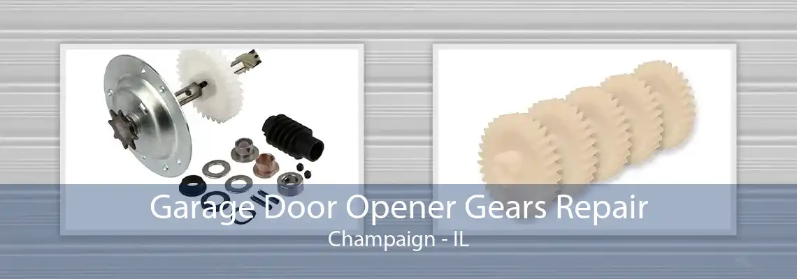 Garage Door Opener Gears Repair Champaign - IL