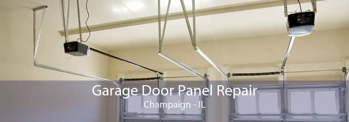 Garage Door Panel Repair Champaign - IL