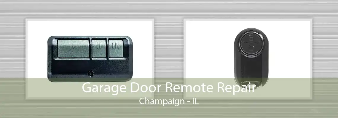 Garage Door Remote Repair Champaign - IL