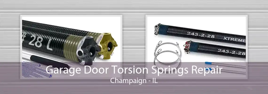 Garage Door Torsion Springs Repair Champaign - IL