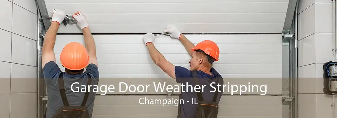 Garage Door Weather Stripping Champaign - IL