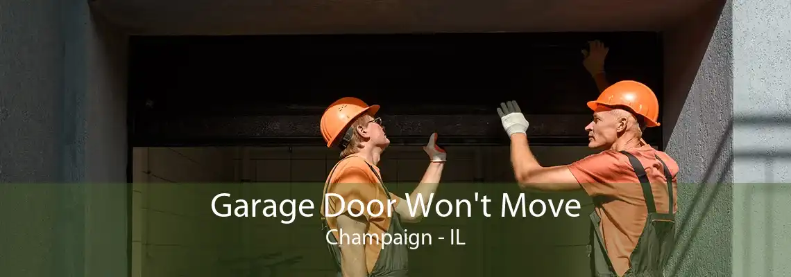 Garage Door Won't Move Champaign - IL