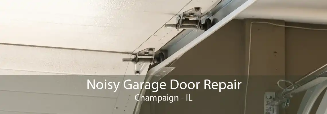 Noisy Garage Door Repair Champaign - IL